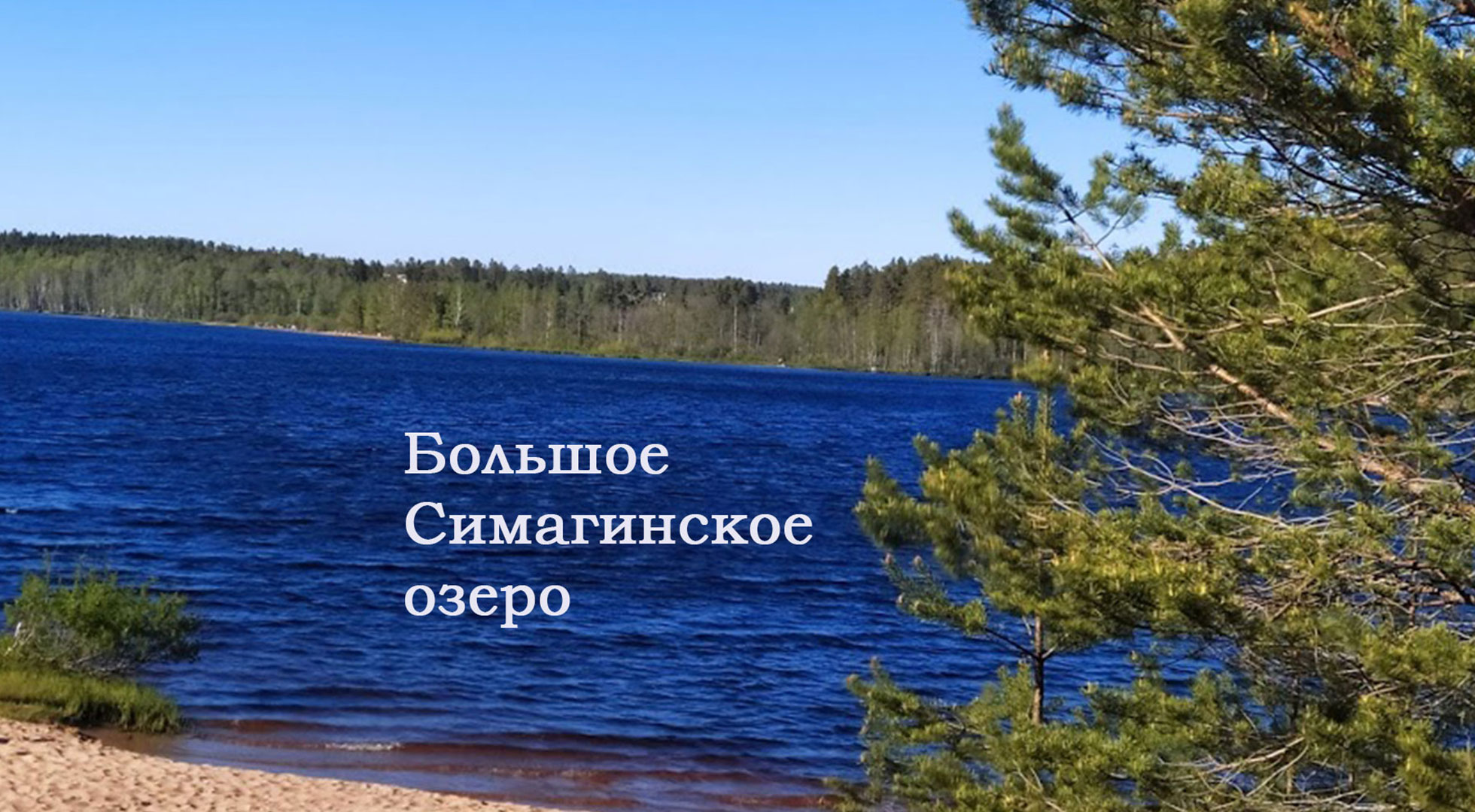 Озеро Красавица (Большое Симагинское) в Ленинградской области: рыбалка и отдых